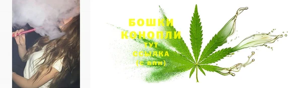гашик Михайловск