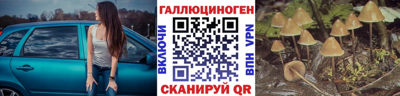 это клад  Подпорожье  Псилоцибиновые грибы Magic Shrooms 